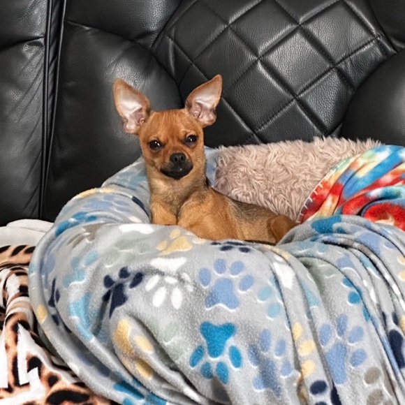 Meet Your Posher - Picture 11 of 16